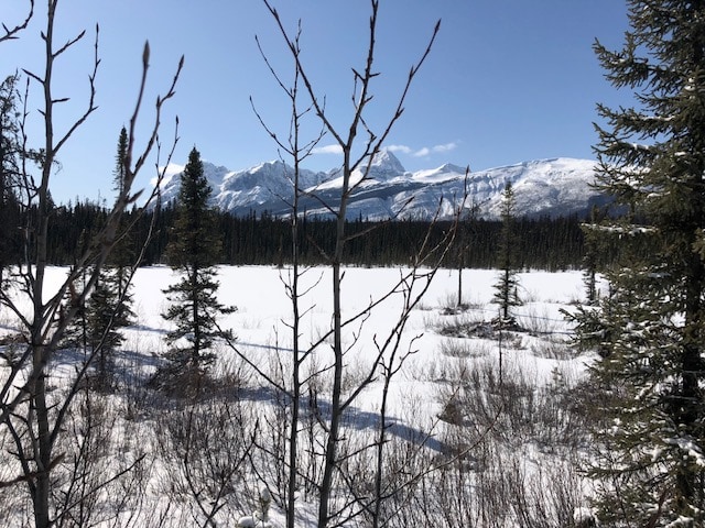 Exploring Jasper does not have to cost a lot of money!