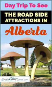 Day Trip to See the Road Side Attractions in Alberta pin