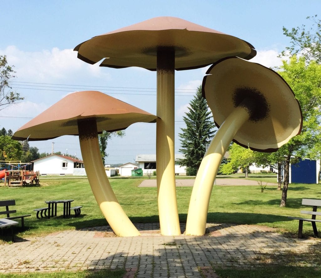 World's Largest Mushrooms, Vilna