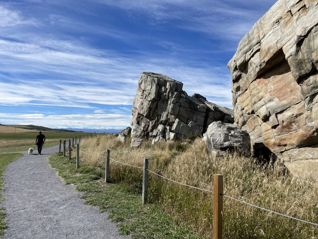 A side view of the Okotoks erratic with a man walking his dog for scale.