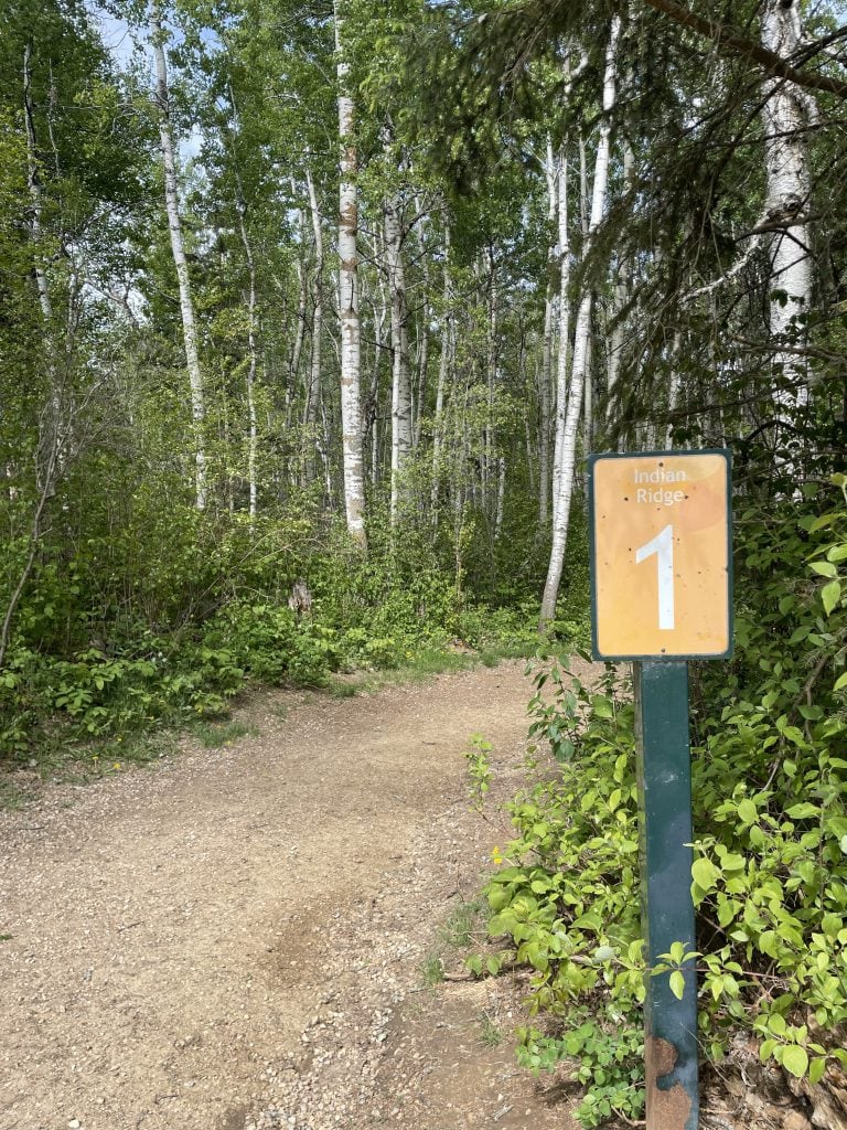 Chickakoo Lake trail marker