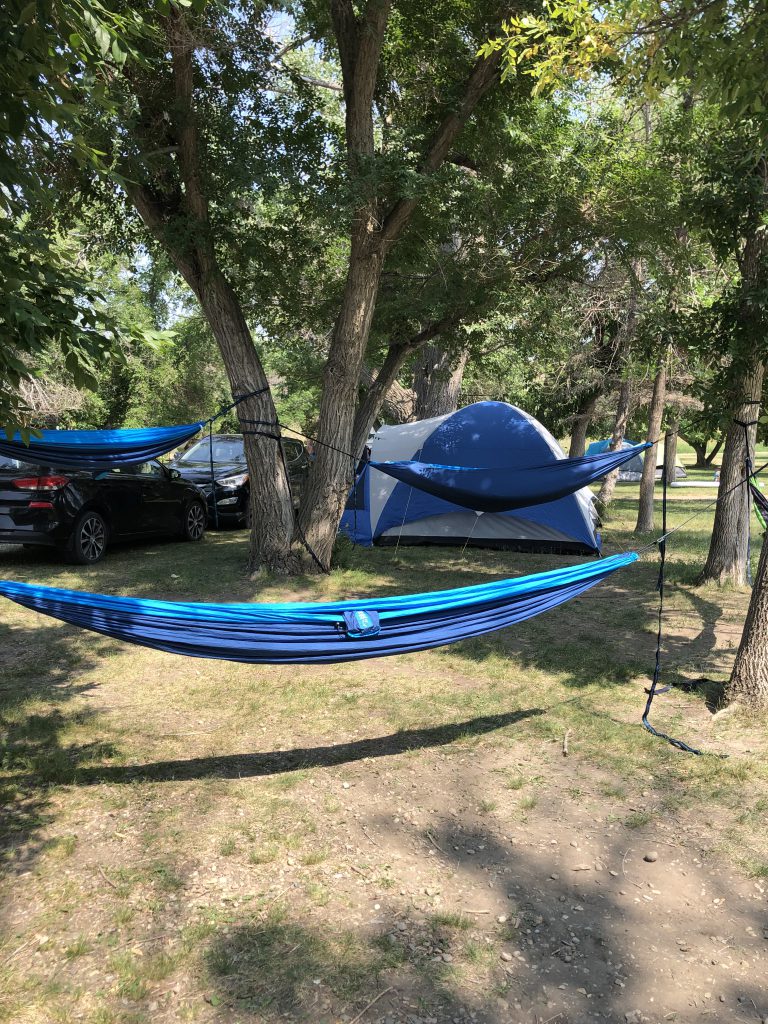 Hammocks set up at the group campsite in Little Bow Campground