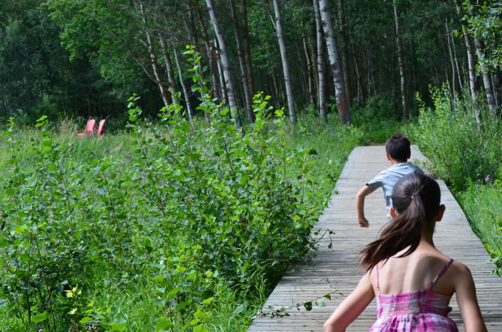 Children running on boardwalk towards red chairs in Elk Island National Park