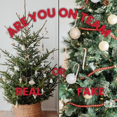 Real or Fake Christmas Tree: Pros & Cons to both
