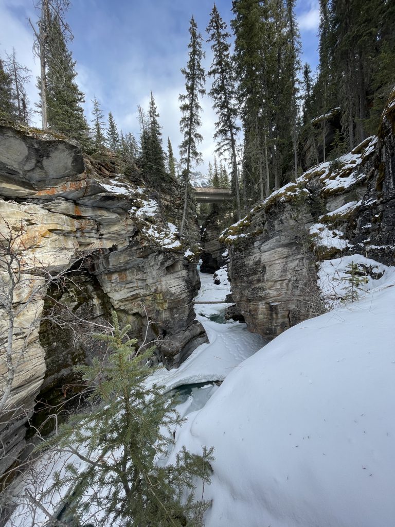 Athabasca Falls in late March