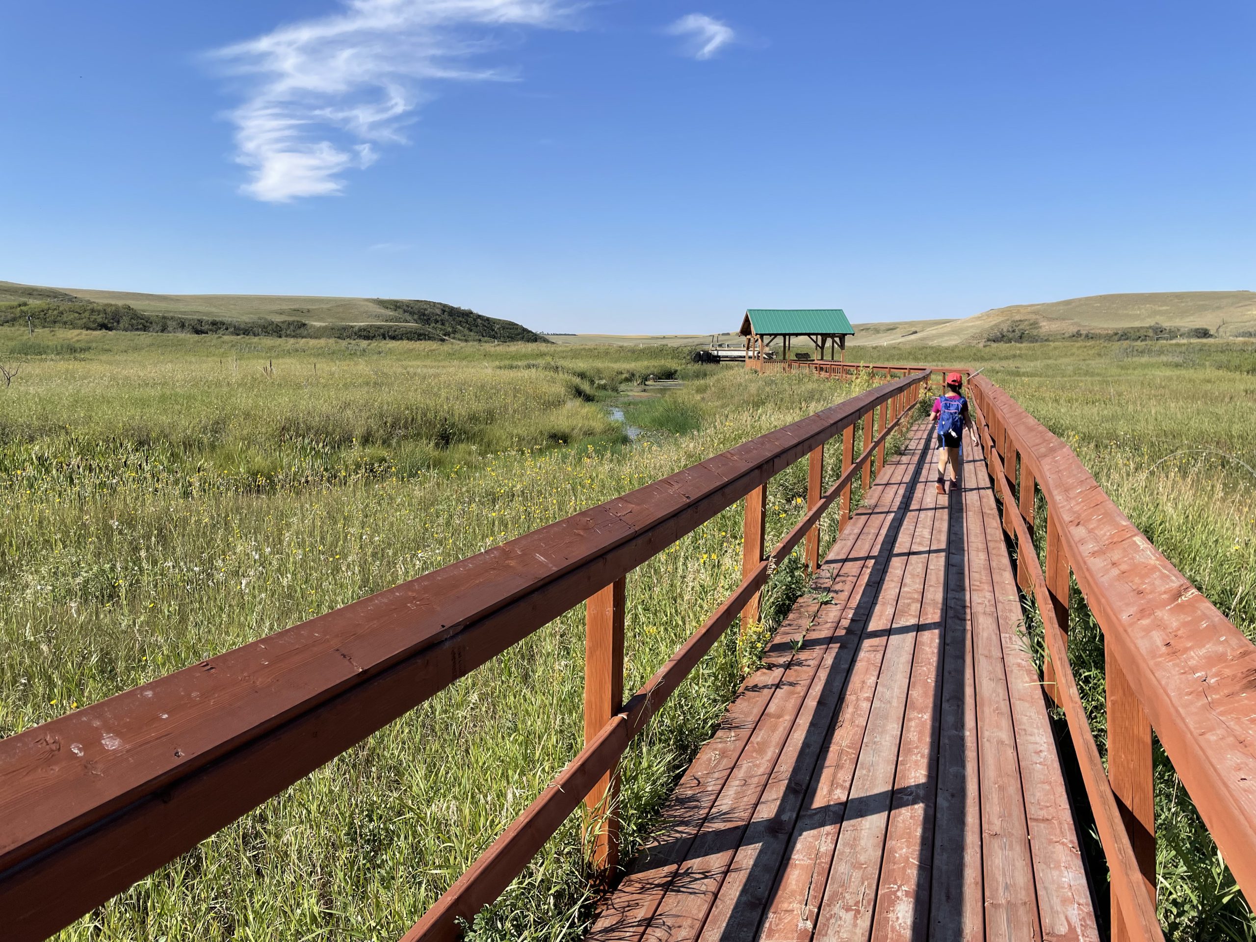 13+ Inexpensive Campgrounds Near Drumheller You’ll Love (in 2024)