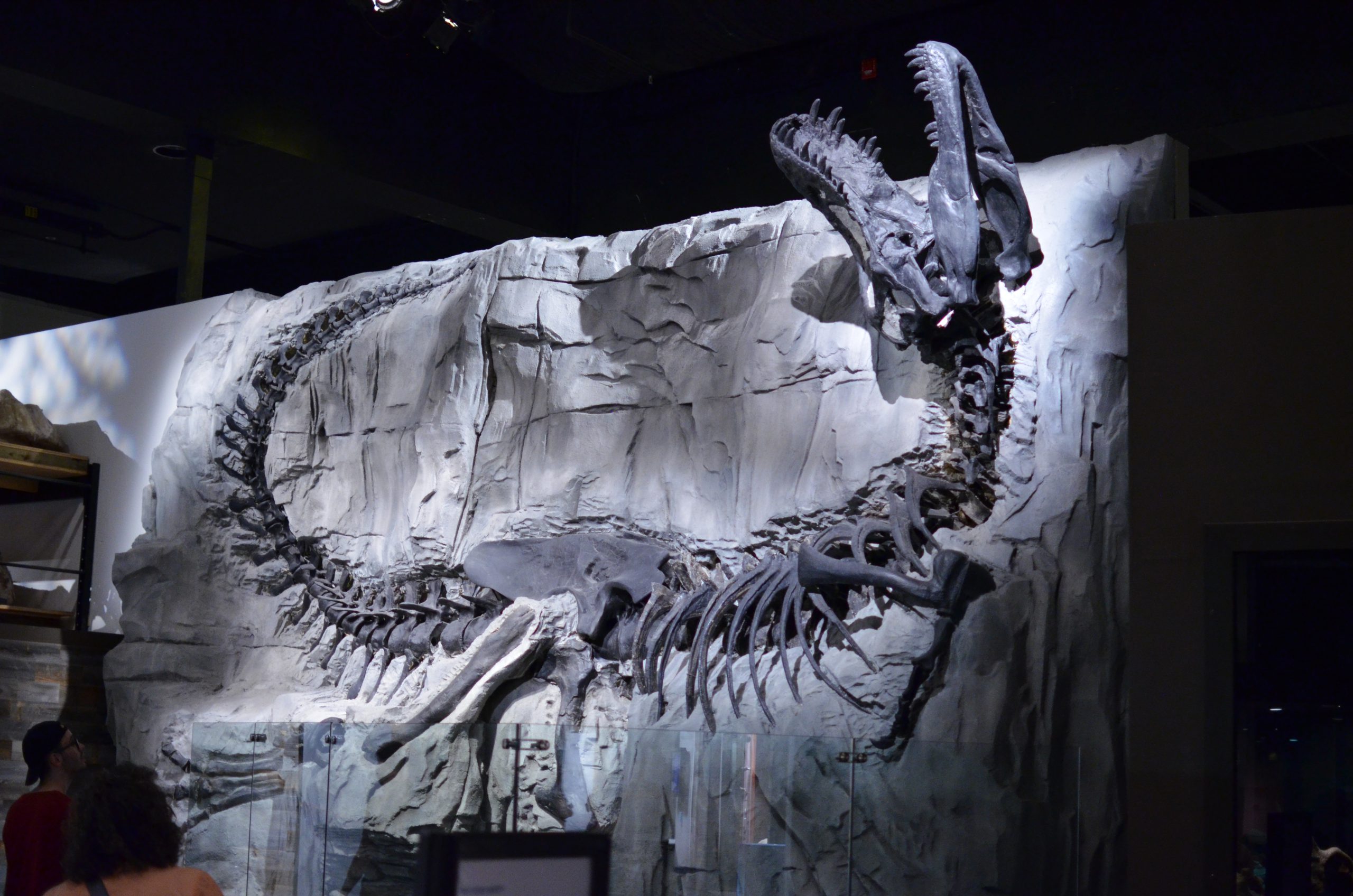 Where to Find Dinosaurs in Alberta, Canada