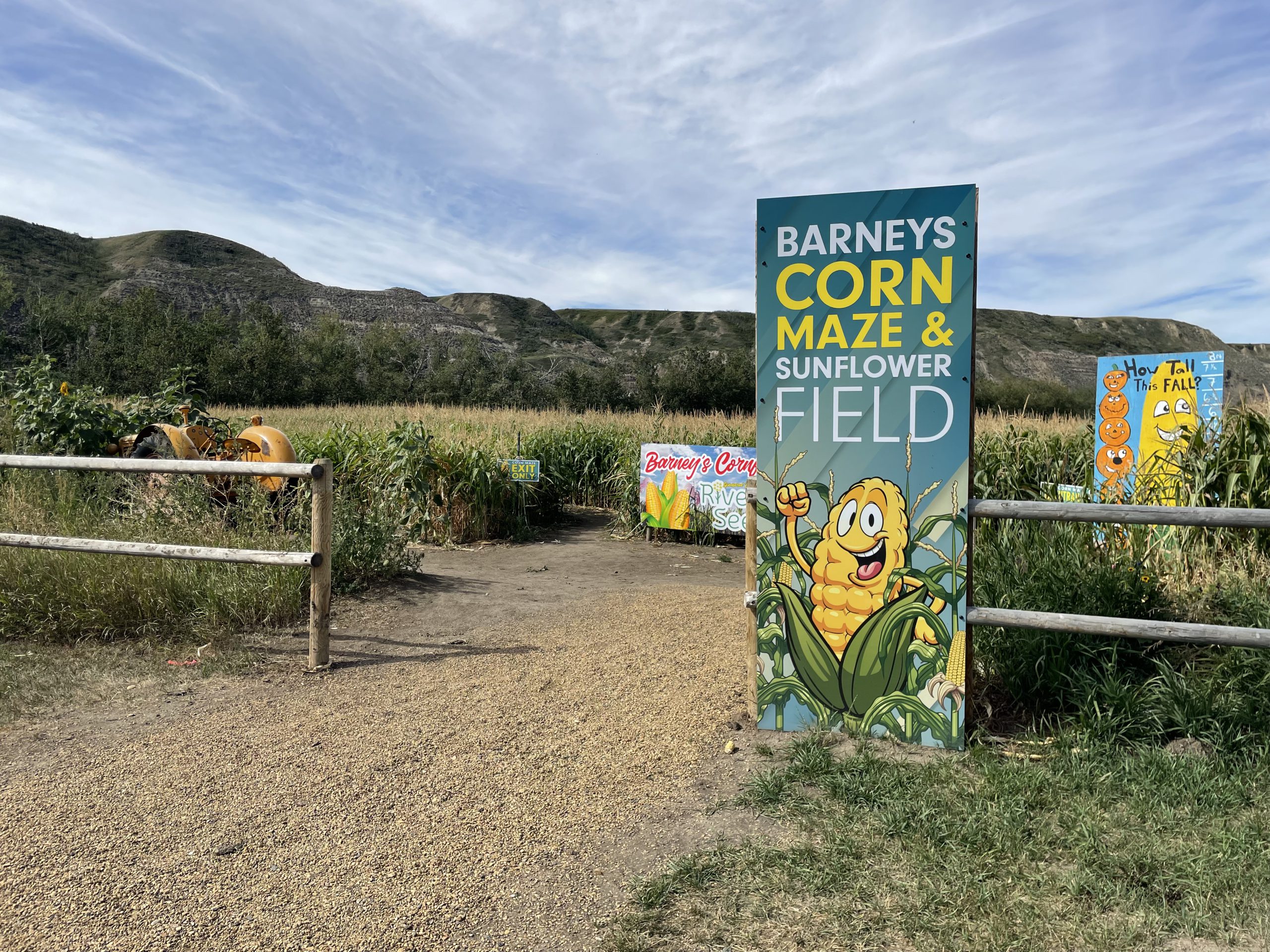 Corn Maze Entrance at Barney's Adventure Park